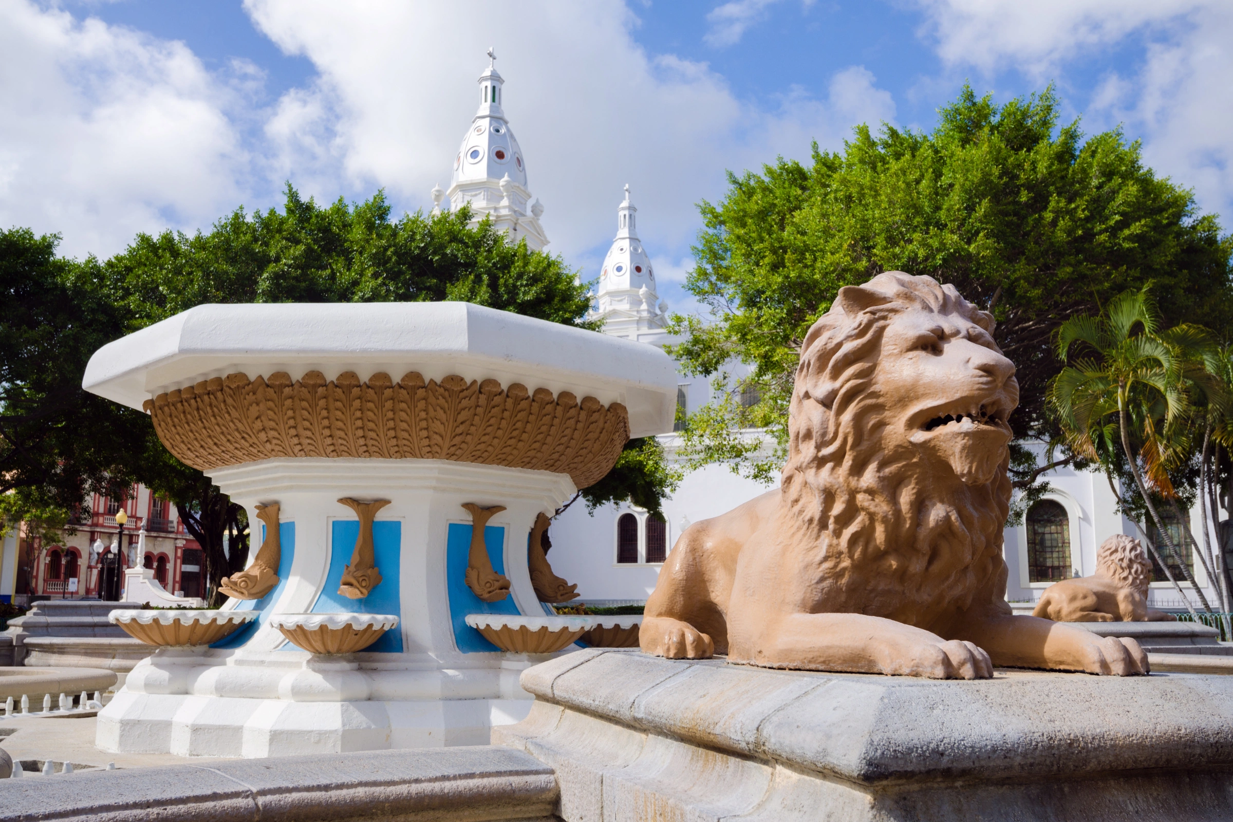 Ponce[1].webp